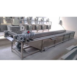 昊昌1000型蔬菜清洗機(jī) 高效潔凈，賦能食品加工新篇章