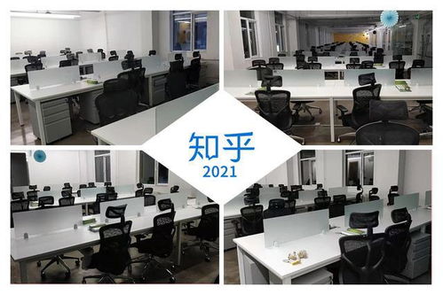 達寶利618銷售額同比增長51.3 ,s10領跑學習椅行業